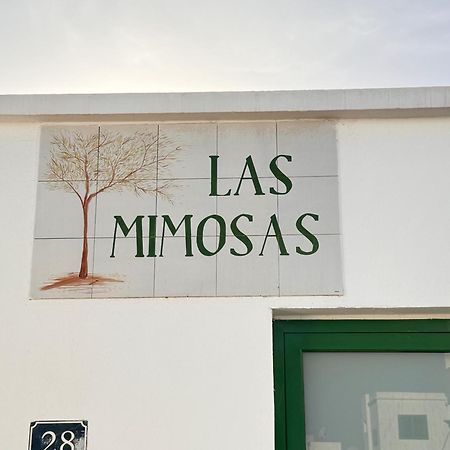 Las Mimosas A Puerto del Carmen (Lanzarote) Exterior foto